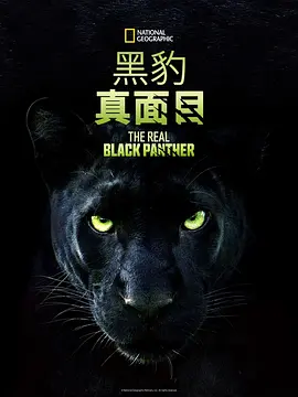 宅男手机视频网站导航