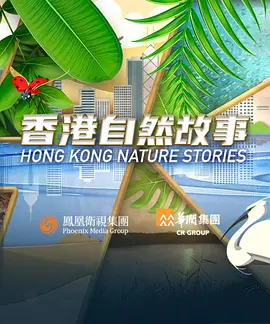 午夜酒色无码