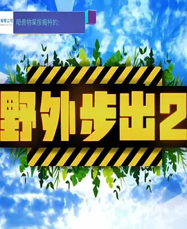 日韩干花花束视频大全集