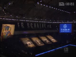 柳州莫青精品视频在线