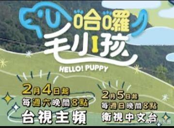 大芭蕉在线观看无码网站