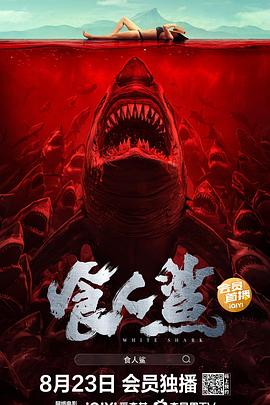 深夜视频网站体验区