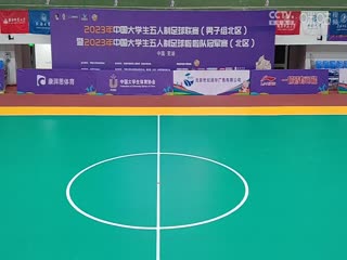 日本一本道高清在线一区