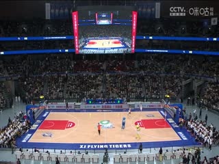 见习法医无码