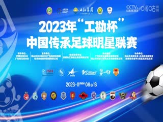 国产x精品