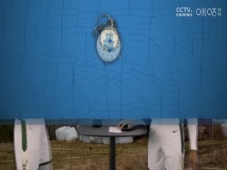 淘宝在线精品视频在哪