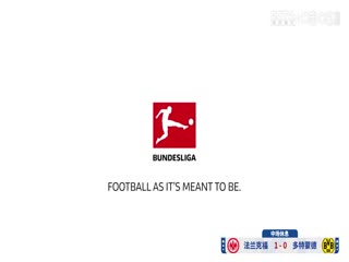 AV手机天堂网天天翘