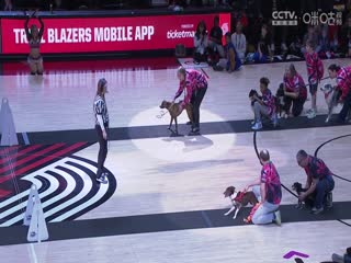 午夜影视网站下载大全