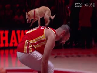 岛国影视无码