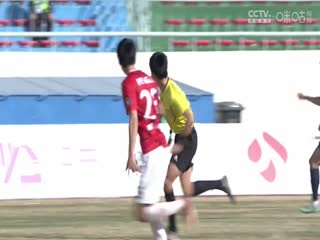 国产亚洲国产v网站软件