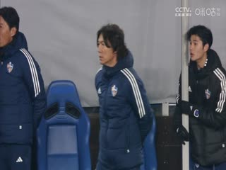 午夜野狼免费视频