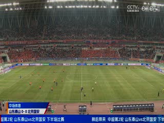 国产亚洲Av网站在线