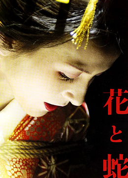 黑色丝袜无码视频
